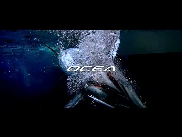 OCEA JIGGER F CUSTOM in OKINAWA - YouTube