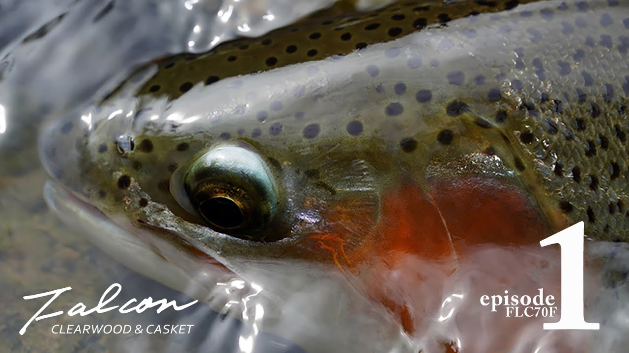 鱗水 RINSUI ブラウントラウトヘッド カスケット 鱗水 RINSUI ブラウン