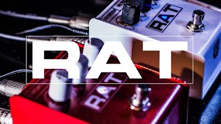 イケベオリジナルで実現の特別モデル「赤ラット」＆「白ラット