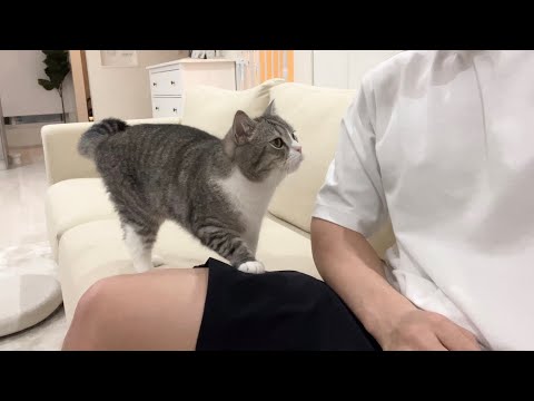 もち様の部屋 - YouTube