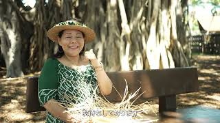 ハワイフェア2023】海辺に自生するハワイの固有種である”ラウハラ”の