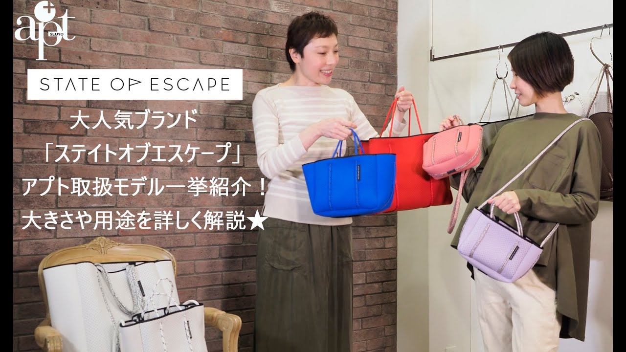 apt] Collector's Edition! Introducing all the STATE OF ESCAPE