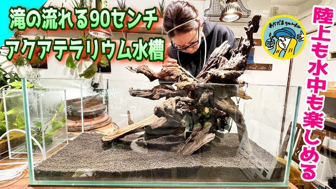 アクアリウム】滝の流れる90センチアクアテラリウム水槽の作成方法