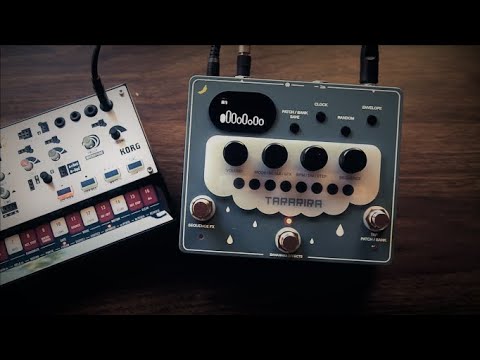 BANANANA EFFECTS - TARARIRA - - YouTube