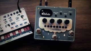 BANANANA EFFECTS - TARARIRA - - YouTube