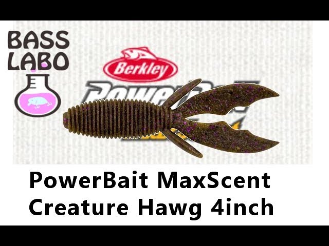 マックスセント クリーチャーホッグ 4