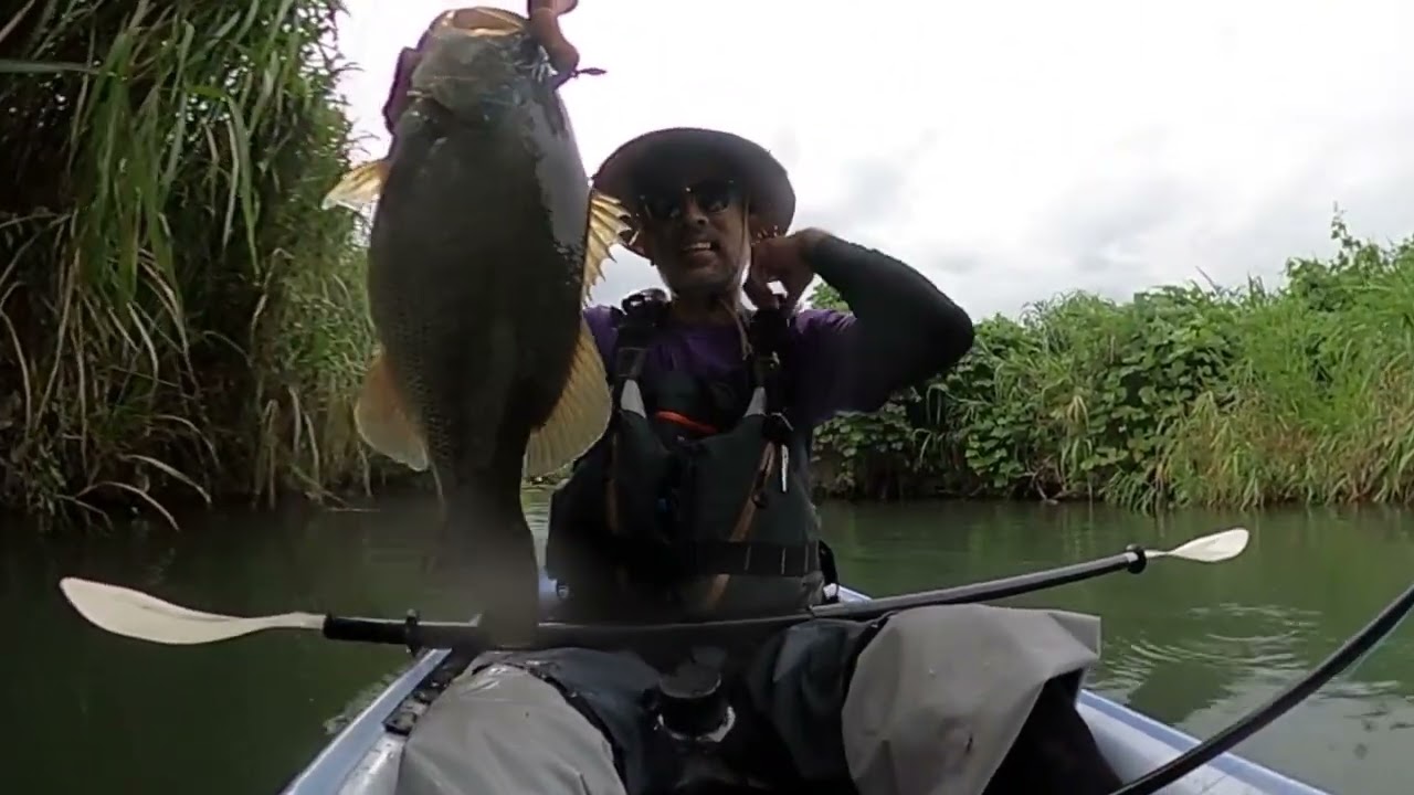 イソノファクトリー POP-EYE Wiggler FieldTest2023 - YouTube