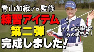 The second installment of the series supervised by professional