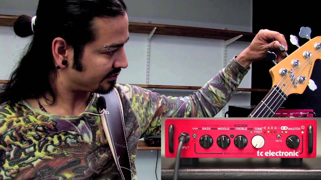 BH250ベース用アンプヘッド - 知っておきたい5つのポイント - YouTube