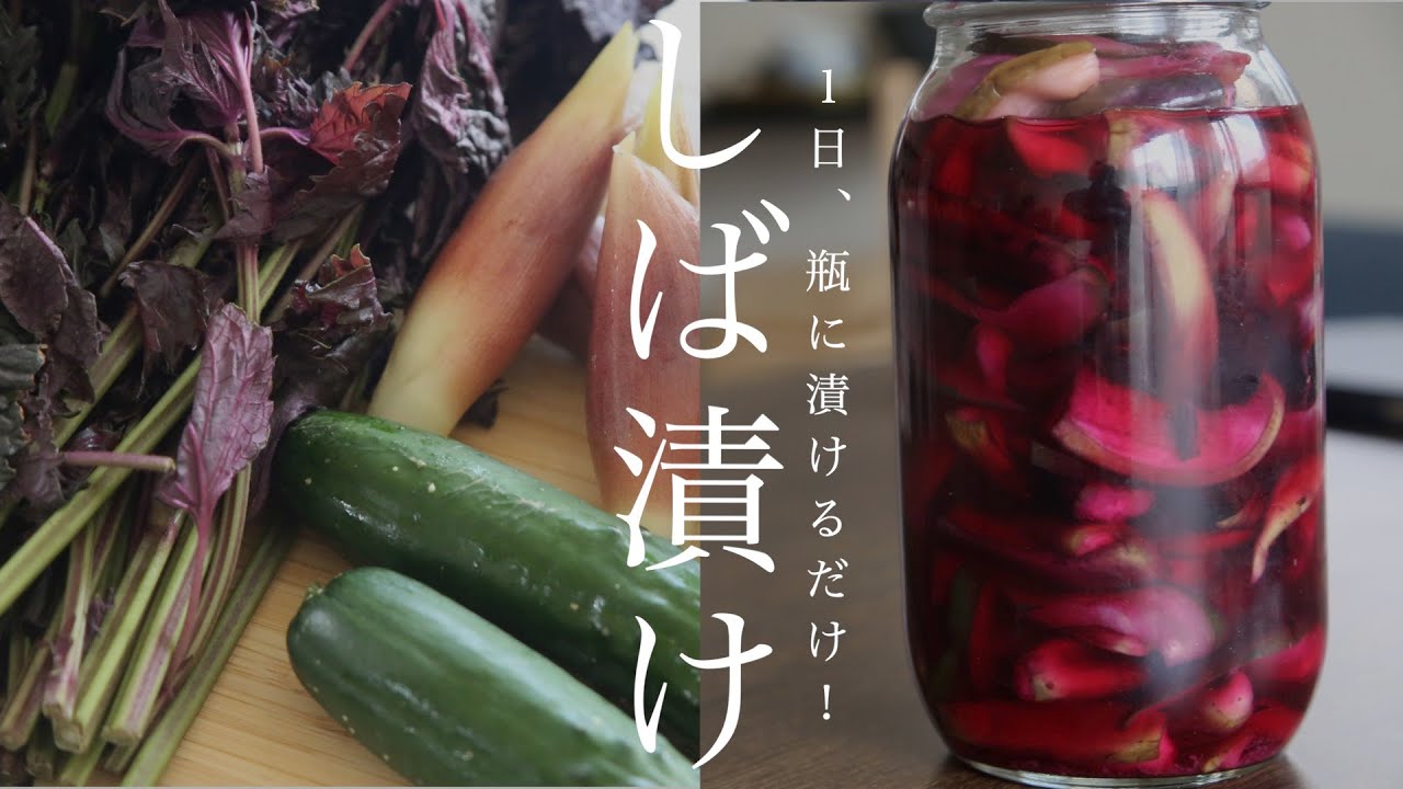 How to make Shibazuke pickled in red perilla - YouTube