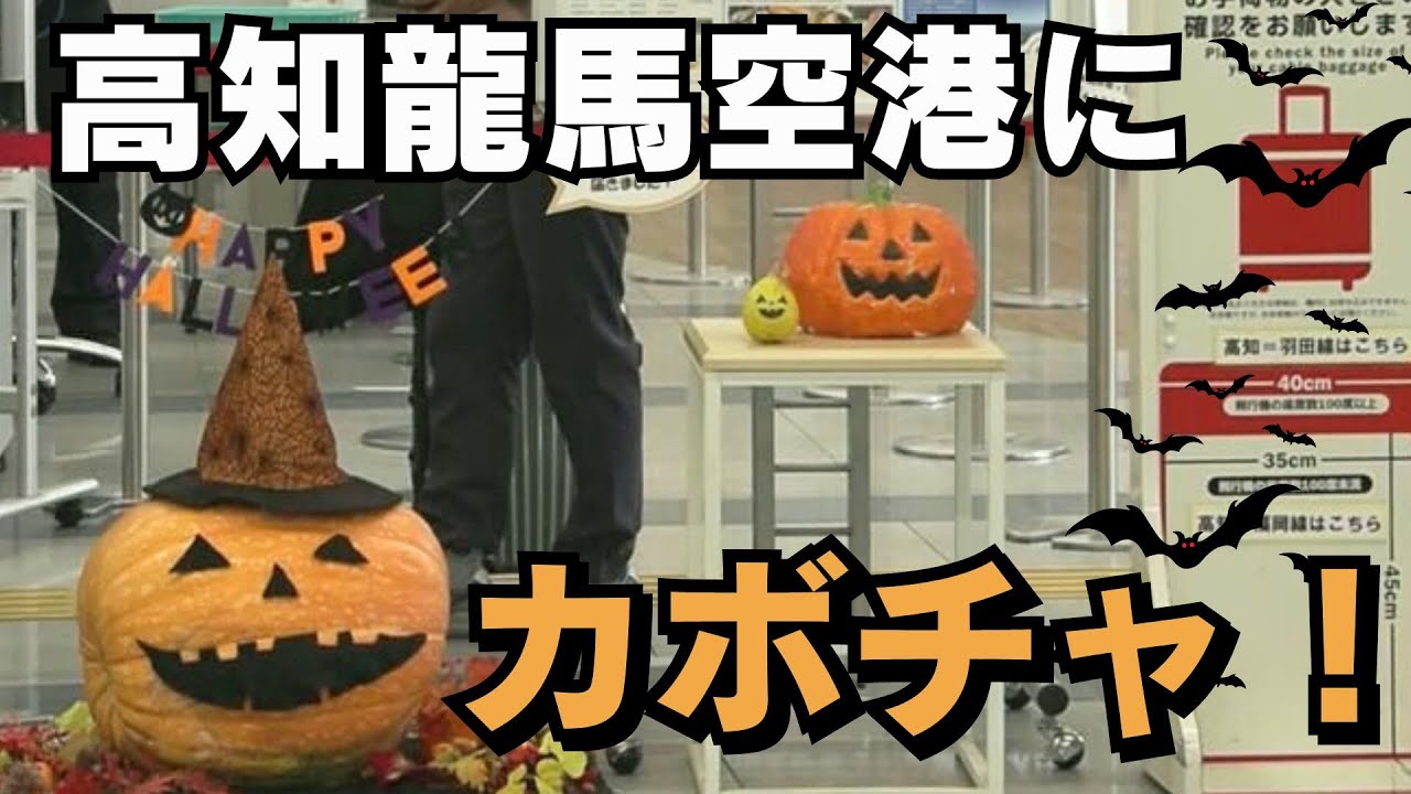 高知龍馬空港に大きなカボチャ登場！鮮やかなオレンジ色に染まり