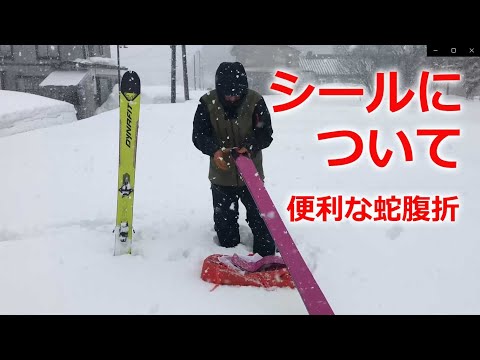 How to fold ski skins (climbing skins) - Convenient accordion fold