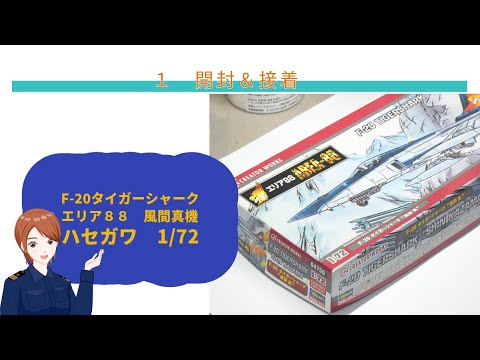 ハセガワ 1/72 F-20 タイガーシャーク エリア88風間真機 キット紹介