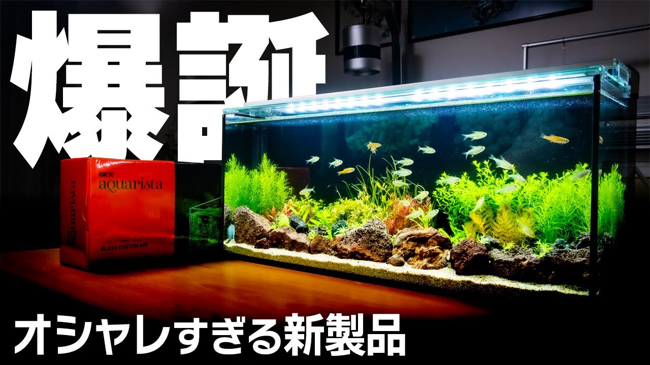 New Products] Fastest review of the newest filter GEX Glass Custom