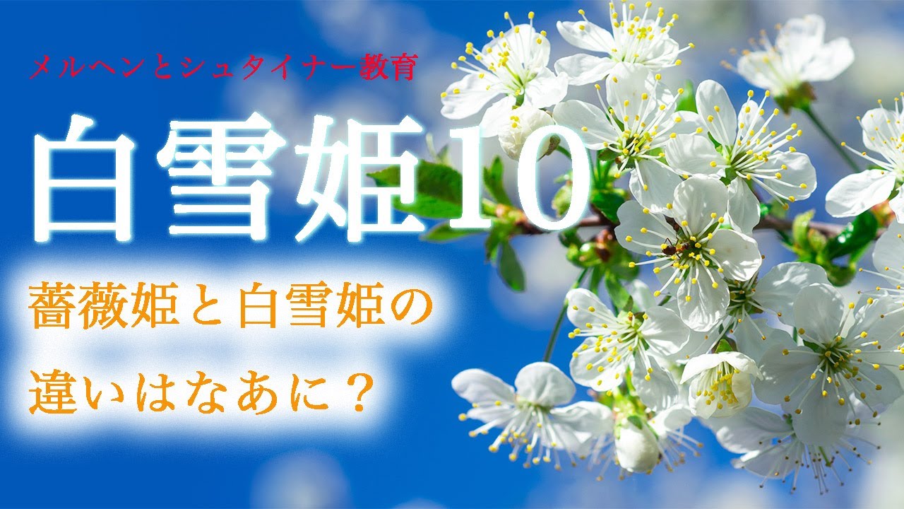 白雪姫提灯】白雪姫ページ ミニちょうちん 白雪姫 パスポーチ
