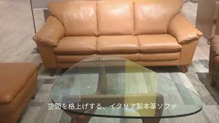 2人掛けソファ オシリス SP IT108