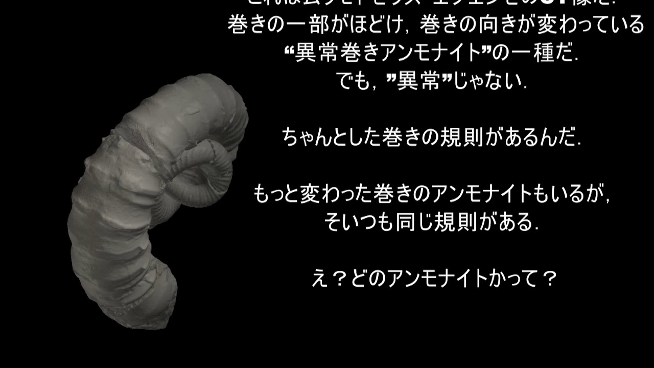 日本代表の古生物-ニッポニテス-3D化PJ 彼らの魅力を全世界へ！（日本