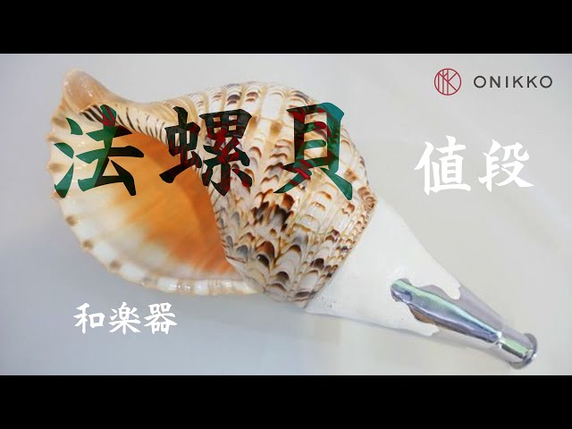 法螺貝 楽器の値段の事なら 国内最大級の品揃えONIKKO Horagai (Conch
