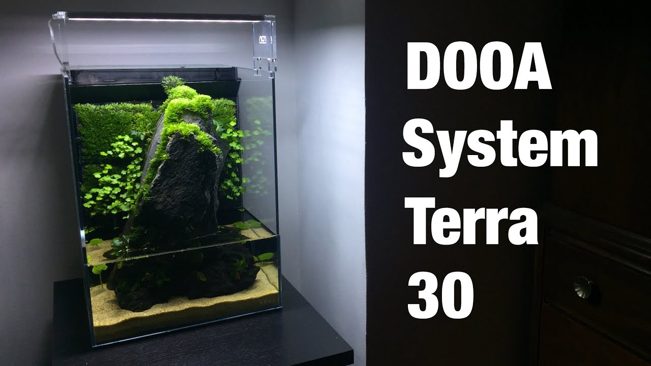 How To: DOOA System Terra 30 - YouTube