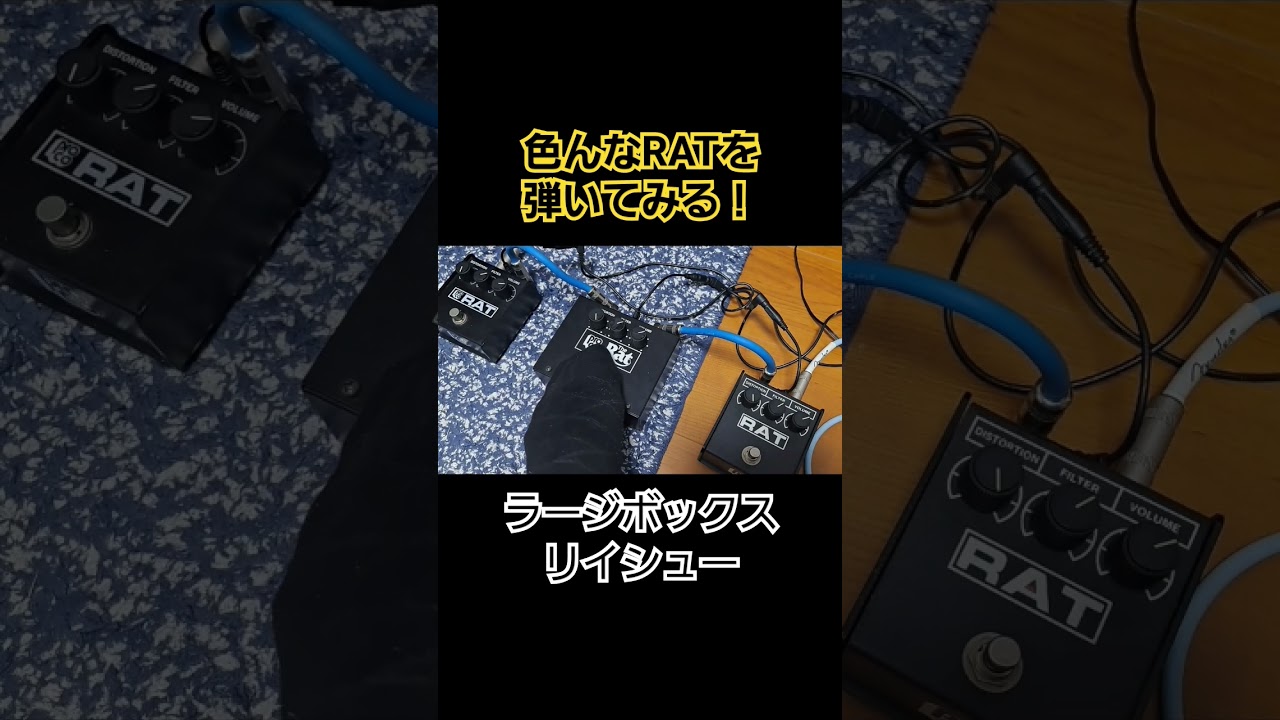 定番ディストーション！Proco Ratの色んな年代のものを弾いてみた