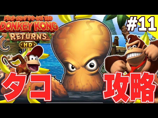 ちべ☆ 特大ドングリ80個 楽天市場】【5H限定豪華プレゼント 2/6 19時