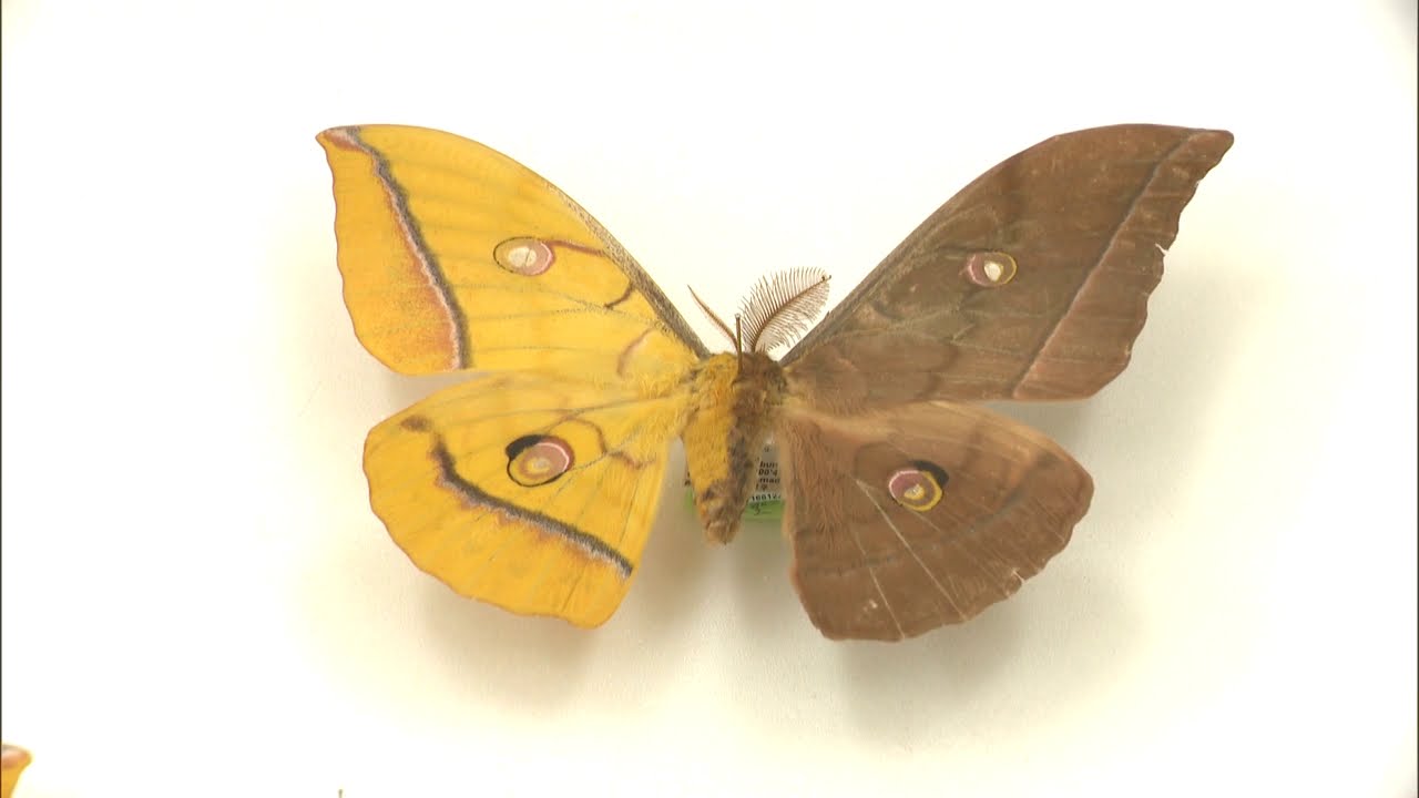 High school boy discovers mixed male and female 