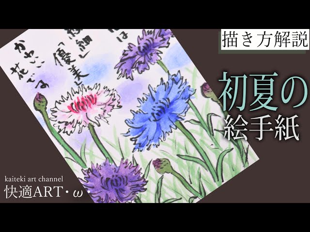 解説】初夏の絵手紙『矢車菊』5月・6月・7月 初心者向け簡単な花の