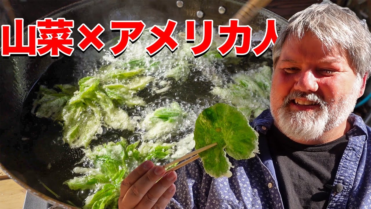 picked wild mountain vegetables, made tempura and ate in nature
