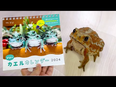 Frog and toad calendars will be out. - YouTube