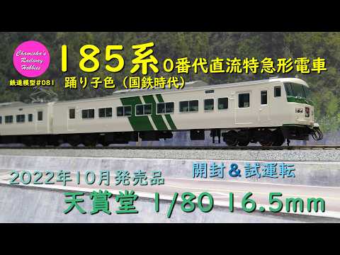 Japanese Model Trains - TENSHODO HO GAUGE 1:80 scale 185 series