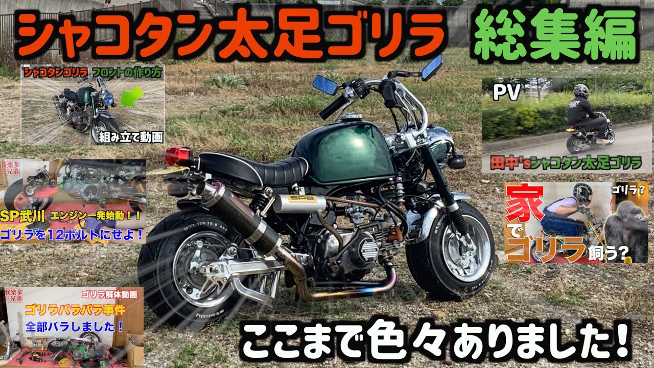 Tanaka's Gorilla Compilation: The Journey to Here [Low Profile