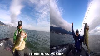 5”HEART TAIL (5”ハートテール) | 製品情報 | ゲーリー