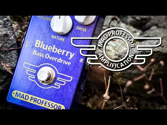 Mad Professor Blueberry Bass Overdrive - Review - YouTube