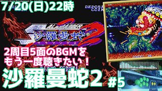 ACゲーム基板「沙羅曼蛇2、ツインビーヤッホー」システムGXSUBボード