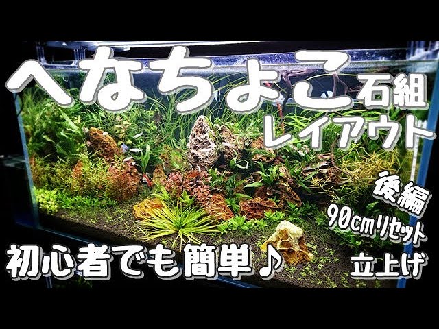 90㎝水槽リセット立上げ(後編)3/3【ADAｷｭｰﾌﾞｶﾞｰﾃﾞﾝ90series】楓葉石