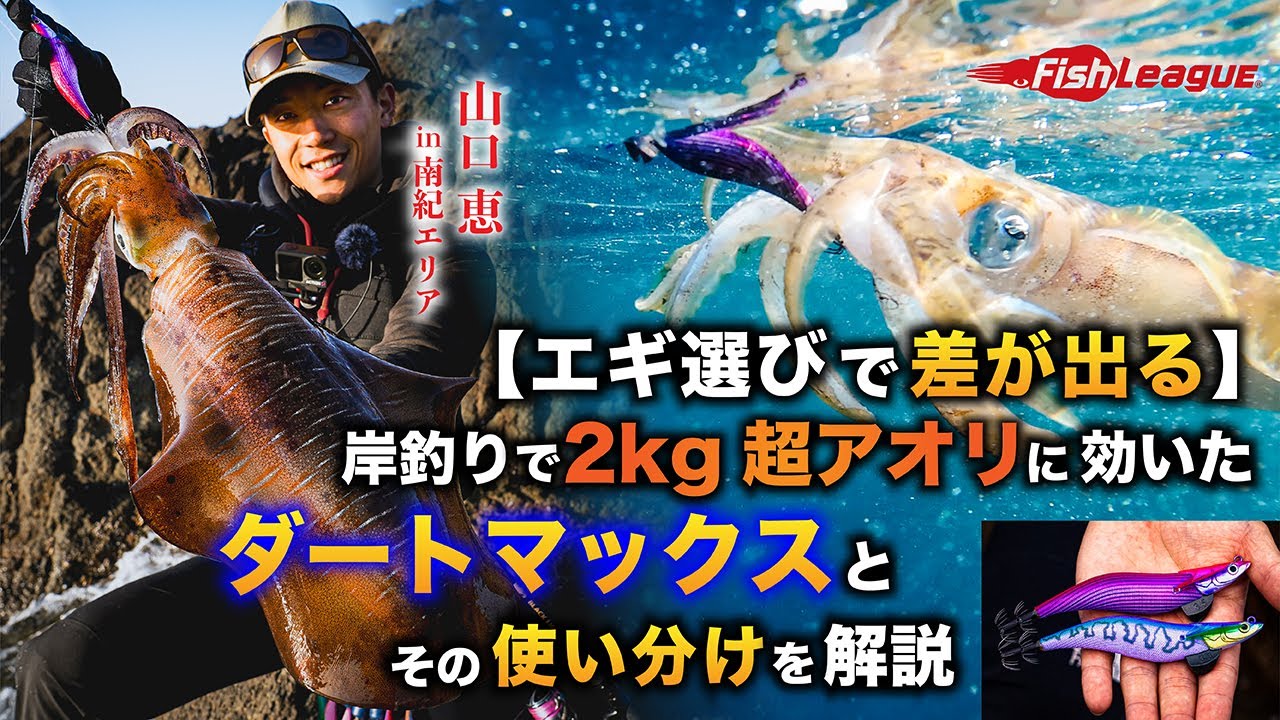 エギリー・ダートマックス | fishleague | ECOGEAR