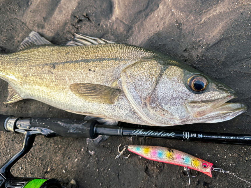 いよいよ店頭に】すべての機種が主役クラス。新生「バリスティック