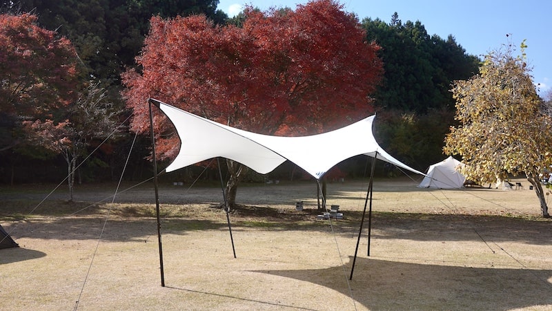 超極レア ロンバスタープ lod.product ウィングタープ 【公式通販】