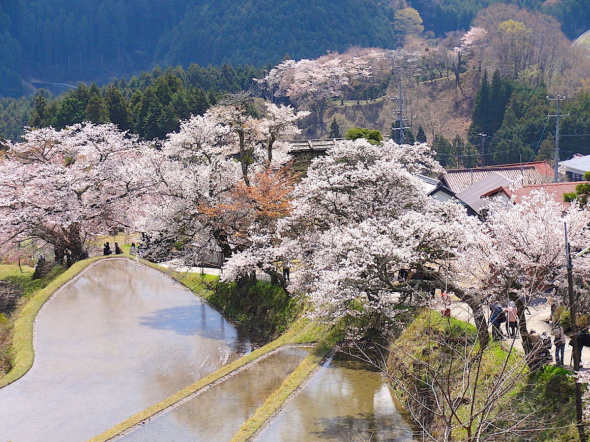 ME015001.jpg?fit=1200,900&ssl=1