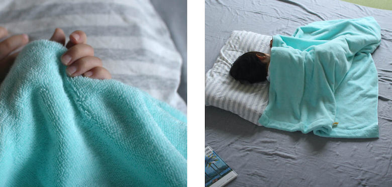 オーガニック330 ブランケット | IKEUCHI ORGANIC 公式通販