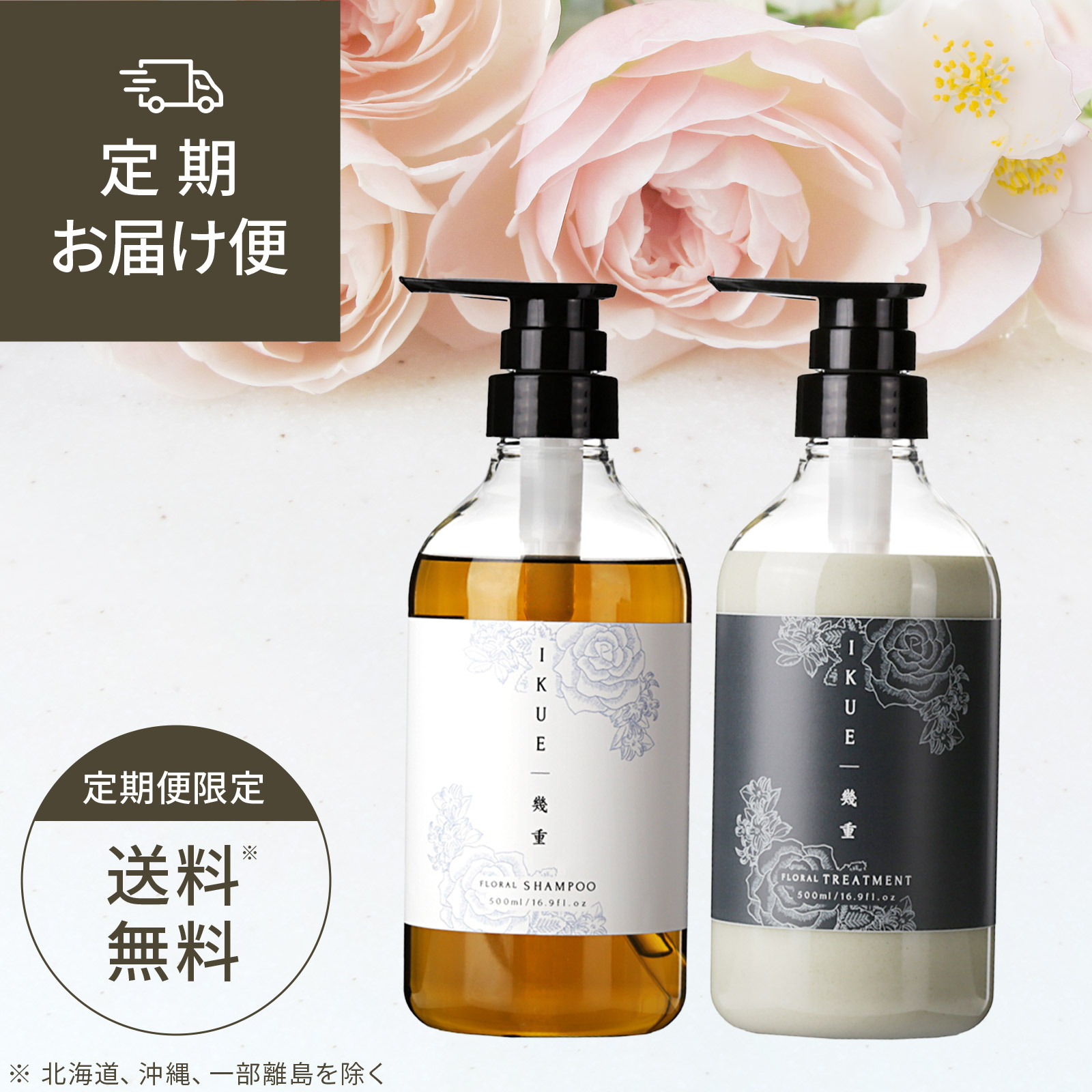 定期お届け便 】幾重 シャンプー＆トリートメント フルーティ