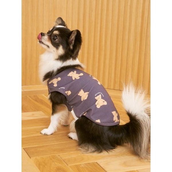 CAT&DOG】ベア柄プルオーバー | ジェラート ピケ(gelato pique