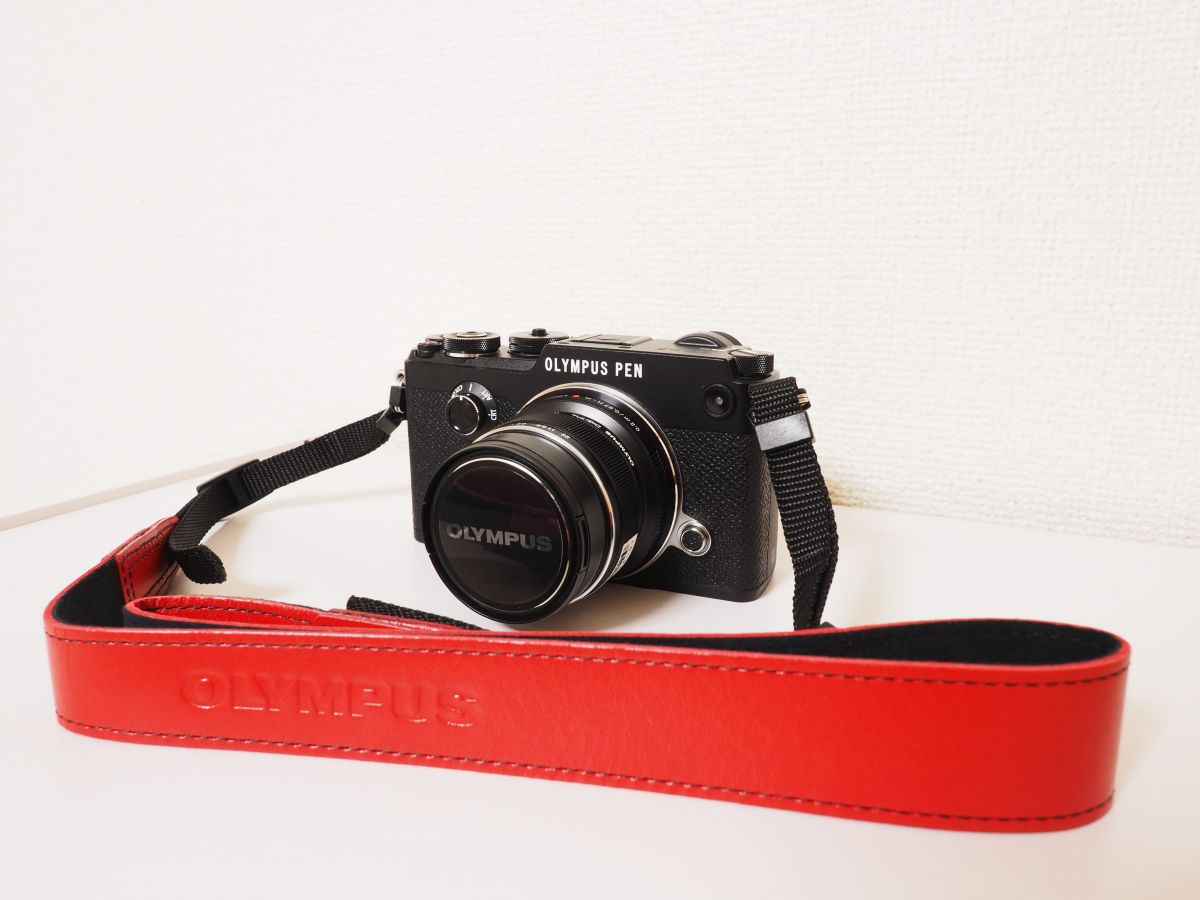 01_PEN-Fの注目製品レビューにあたって | GANREF