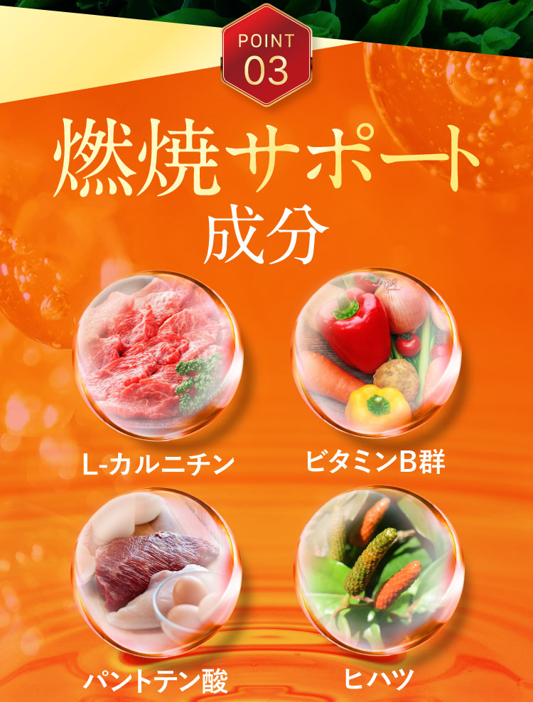 タメせる！さくらフォレスト「機能性表示食品 BURNiBO(バニボ) ＜約30