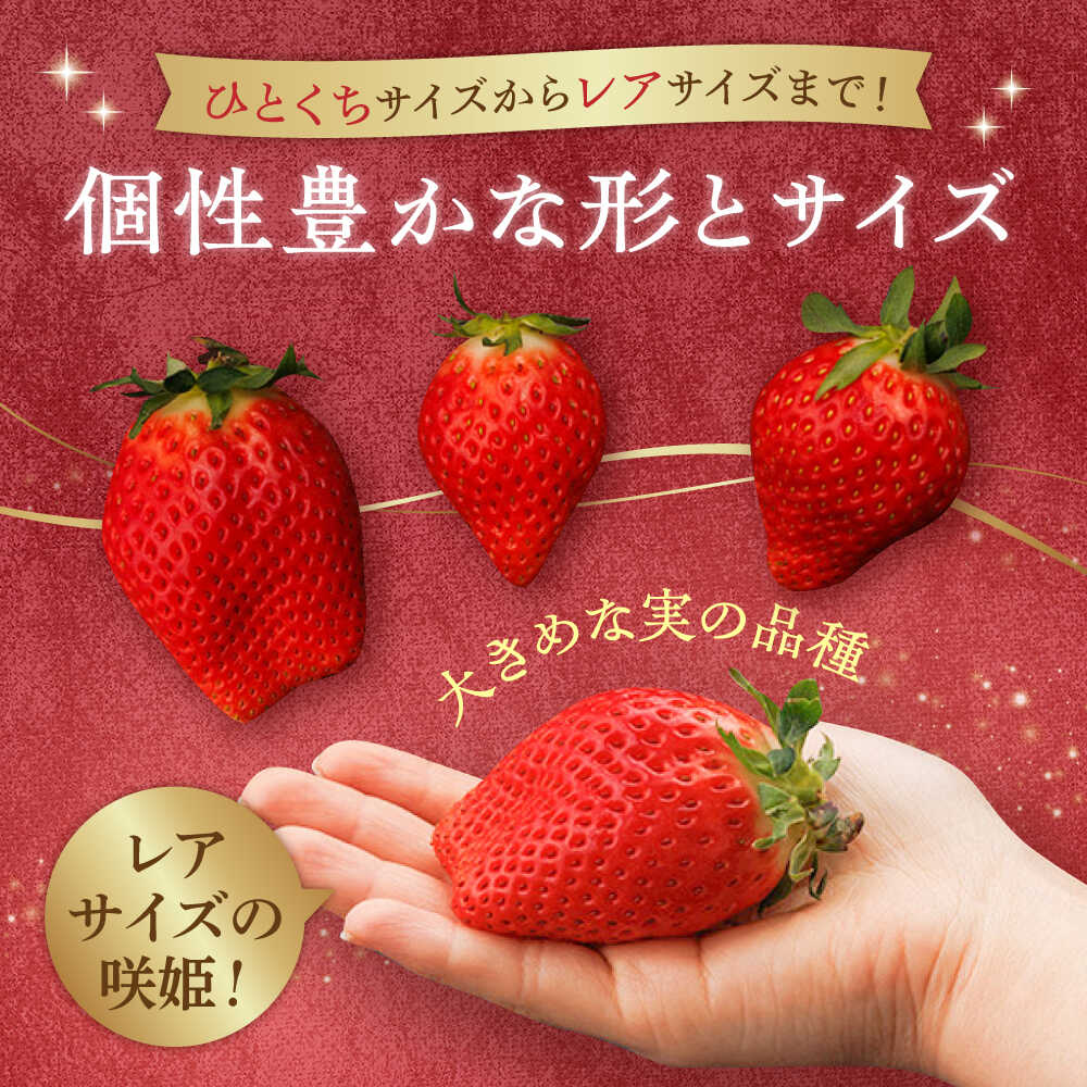 楽天市場】【ふるさと納税】【2026年1月以降発送】【際立つ甘さ！】幻