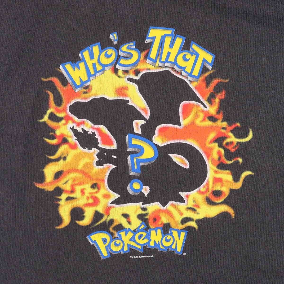 古着 00年代 POKEMON ポケモン リザードン キャラクタープリントT