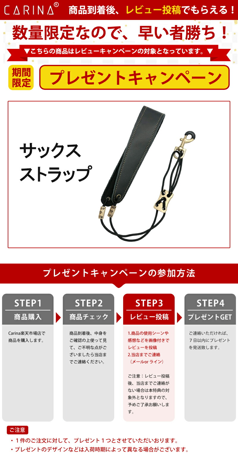 楽天市場】アルトサックス 初心者 入門セット 9点セットゴールド