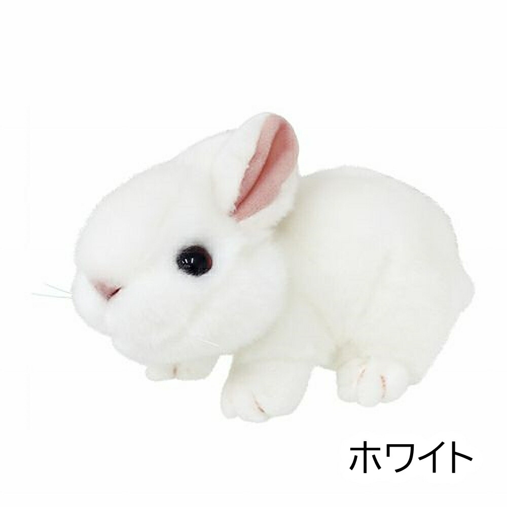 楽天市場】ぬいぐるみ うさぎ ウサギ 雑貨 色が選べる ギフト 誕生日