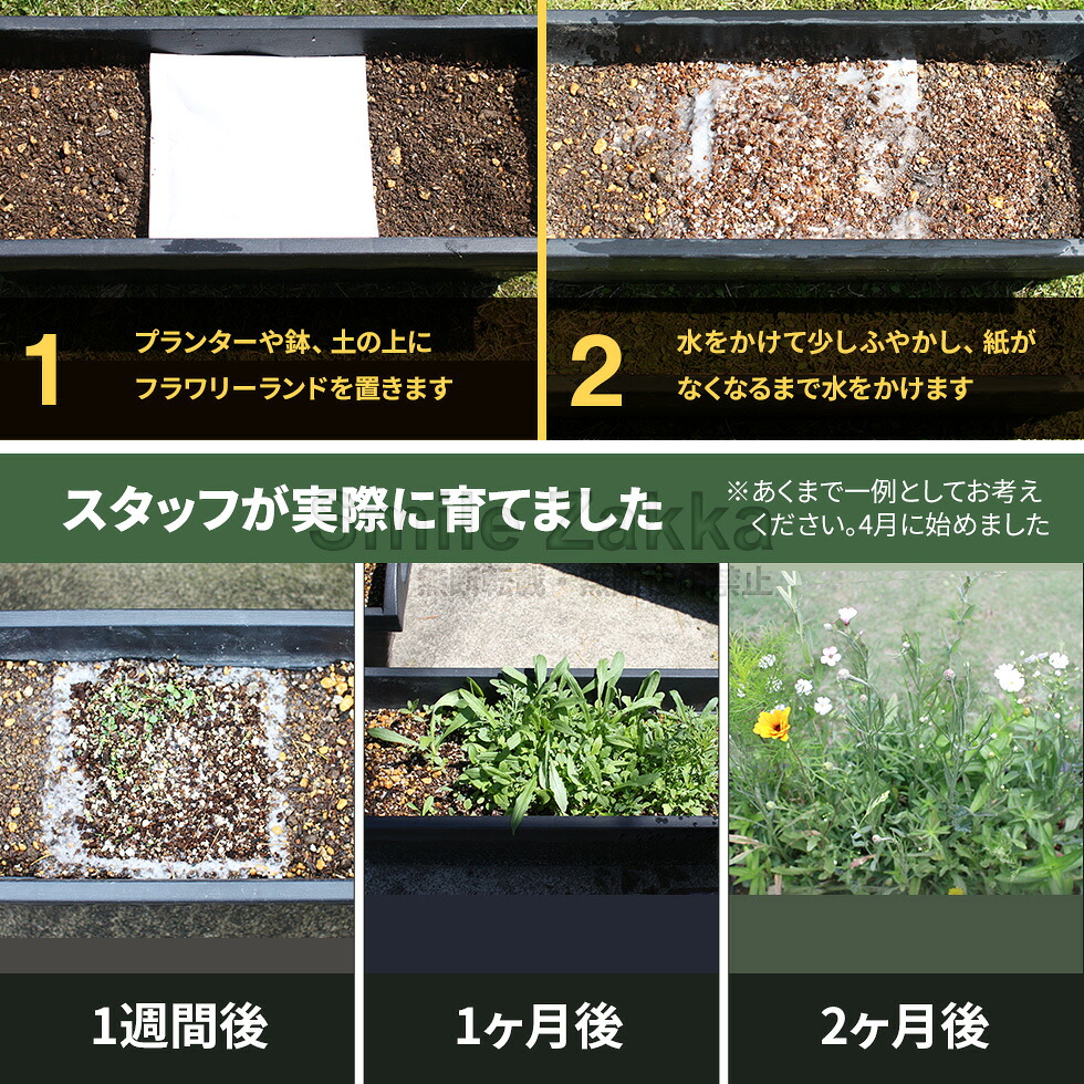 楽天市場】【23日2時までエントリーP5倍】【公式店】【メール便対応