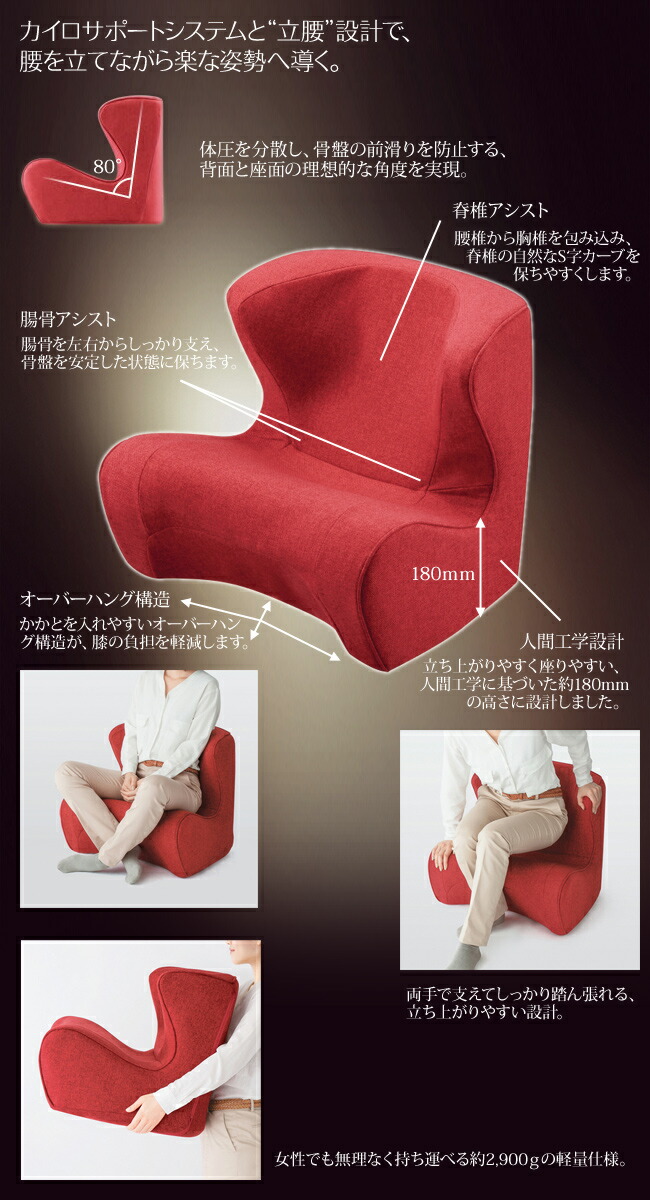 楽天市場】【メーカー正規販売店】 Style Dr.CHAIR スタイルドクター